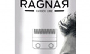 RAGNAR Spray desinfectante 5 en 1. -  500 ml