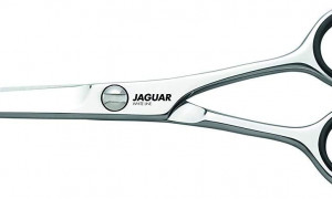 JAGUAR SILVER ICE